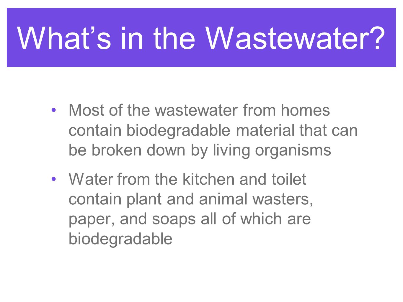 What’s in the Wastewater