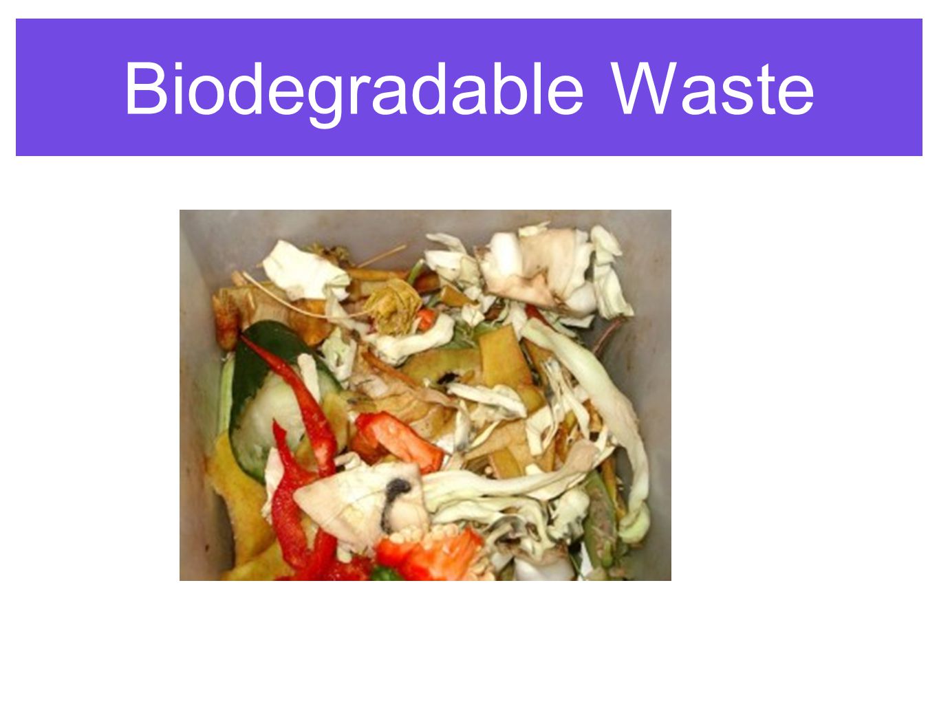 Biodegradable Waste