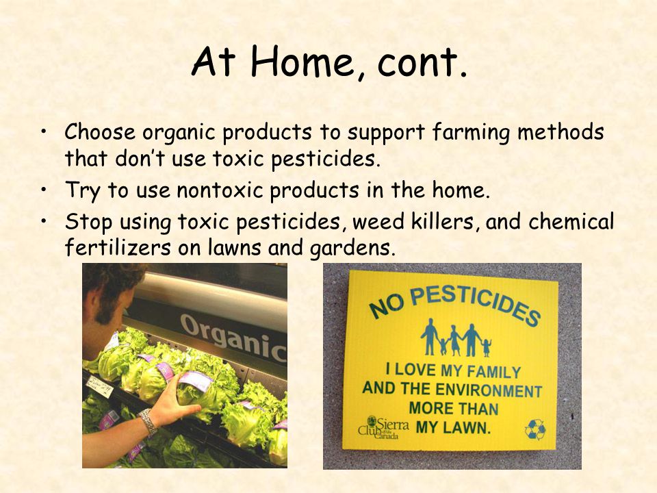 At Home, cont. Choose organic products to support farming methods that don’t use toxic pesticides. Try to use nontoxic products in the home.