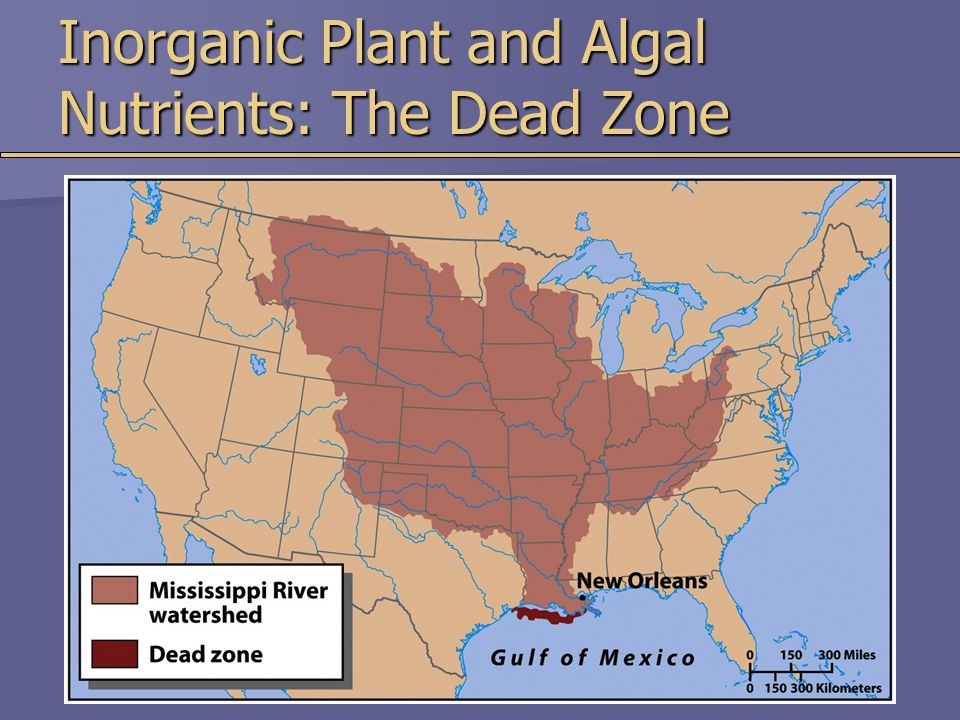 Inorganic Plant and Algal Nutrients: The Dead Zone