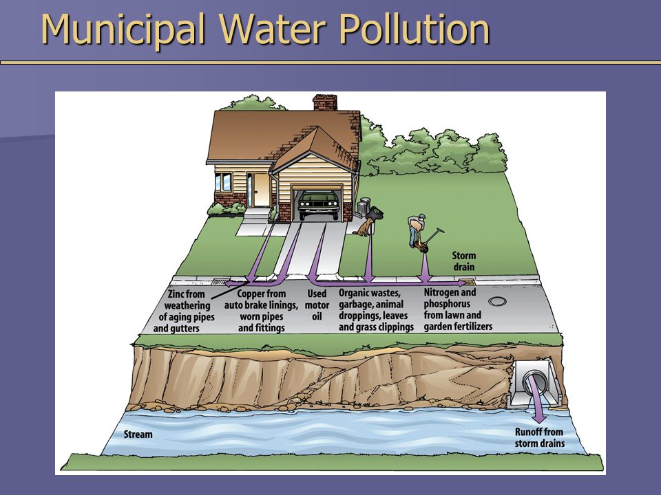 Municipal Water Pollution