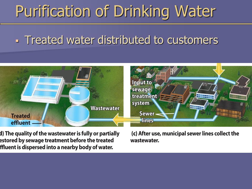 Purification of Drinking Water