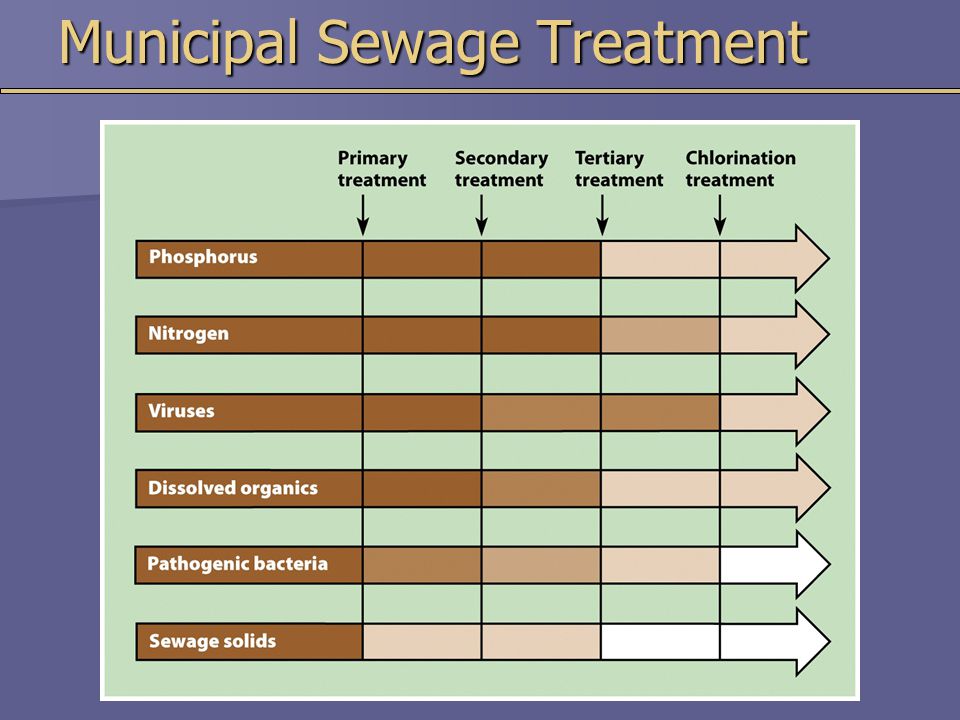 Municipal Sewage Treatment