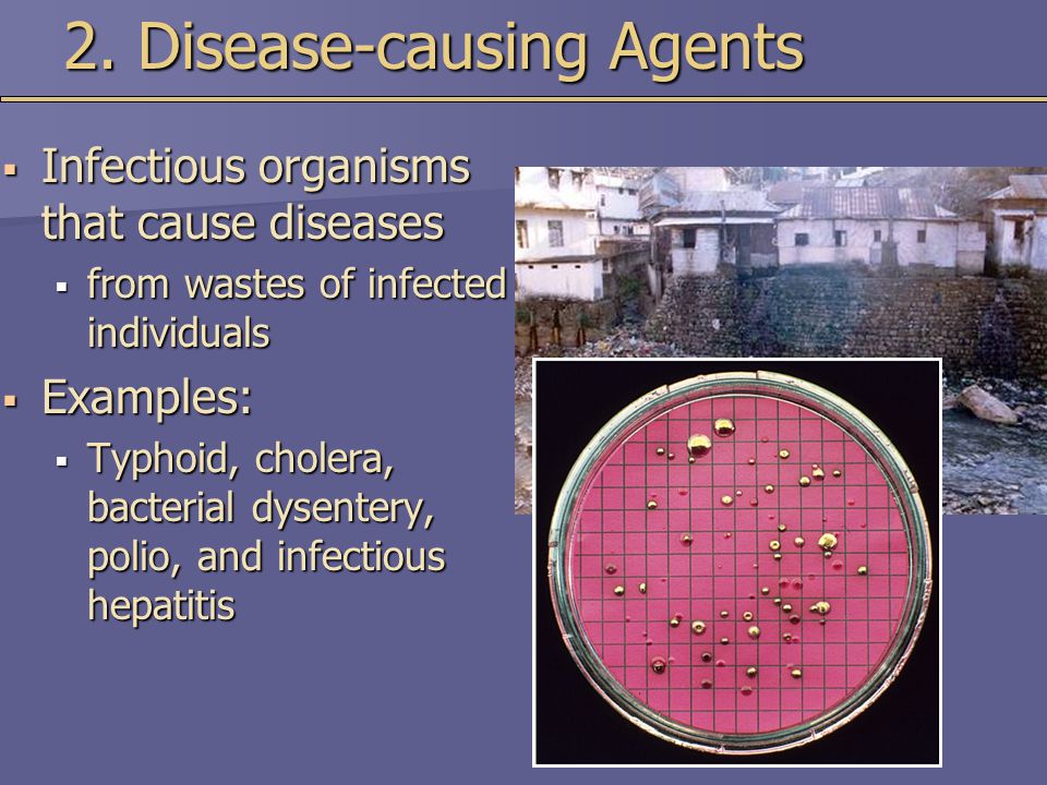 2. Disease-causing Agents