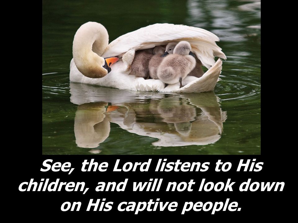 See, the Lord listens to His children, and will not look down on His captive people.