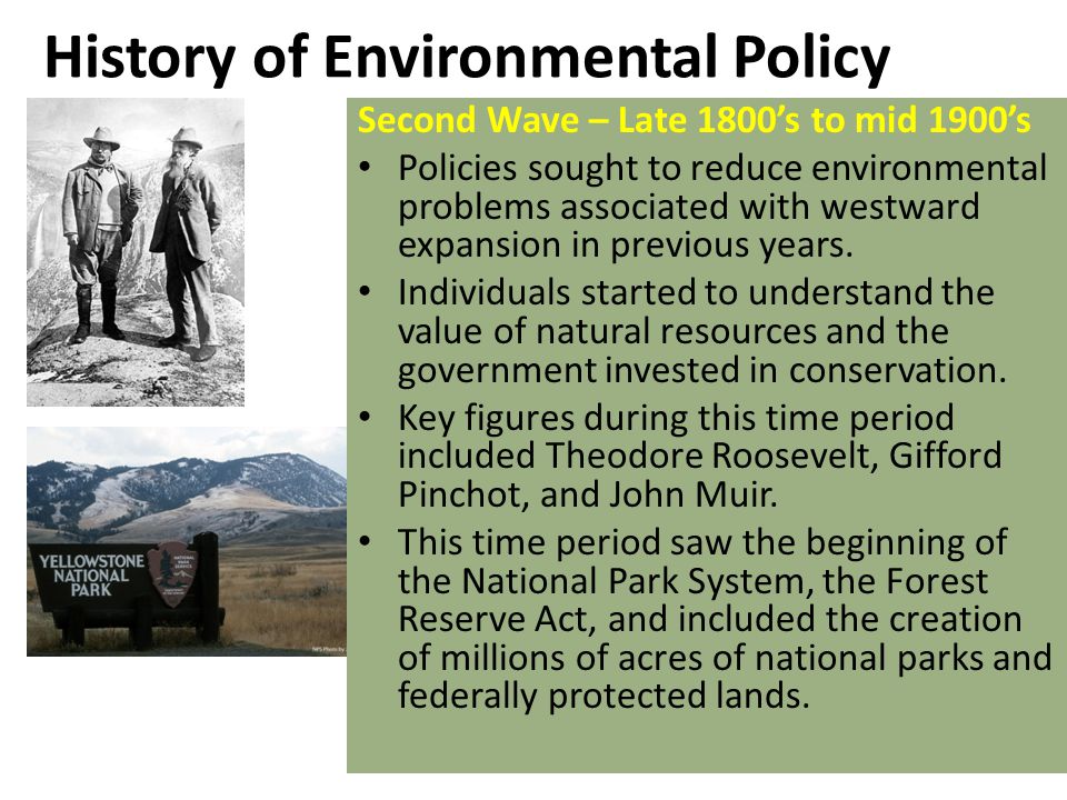 Economics and the Environment - ppt video online download