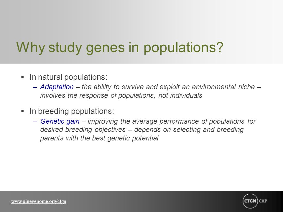 Why study genes in populations