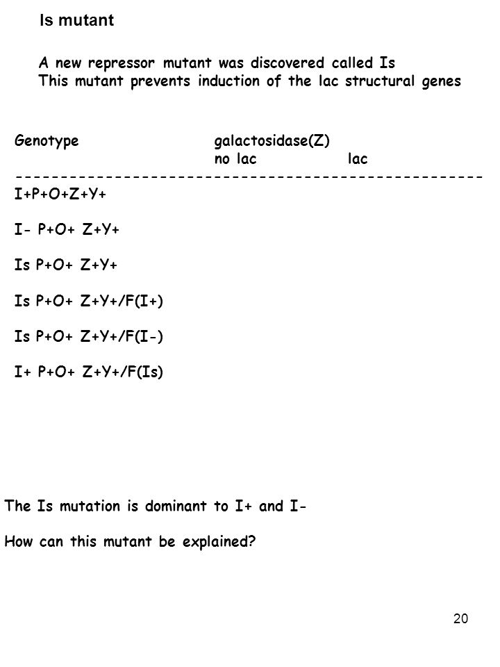 Lac Operon Ppt Video Online Download