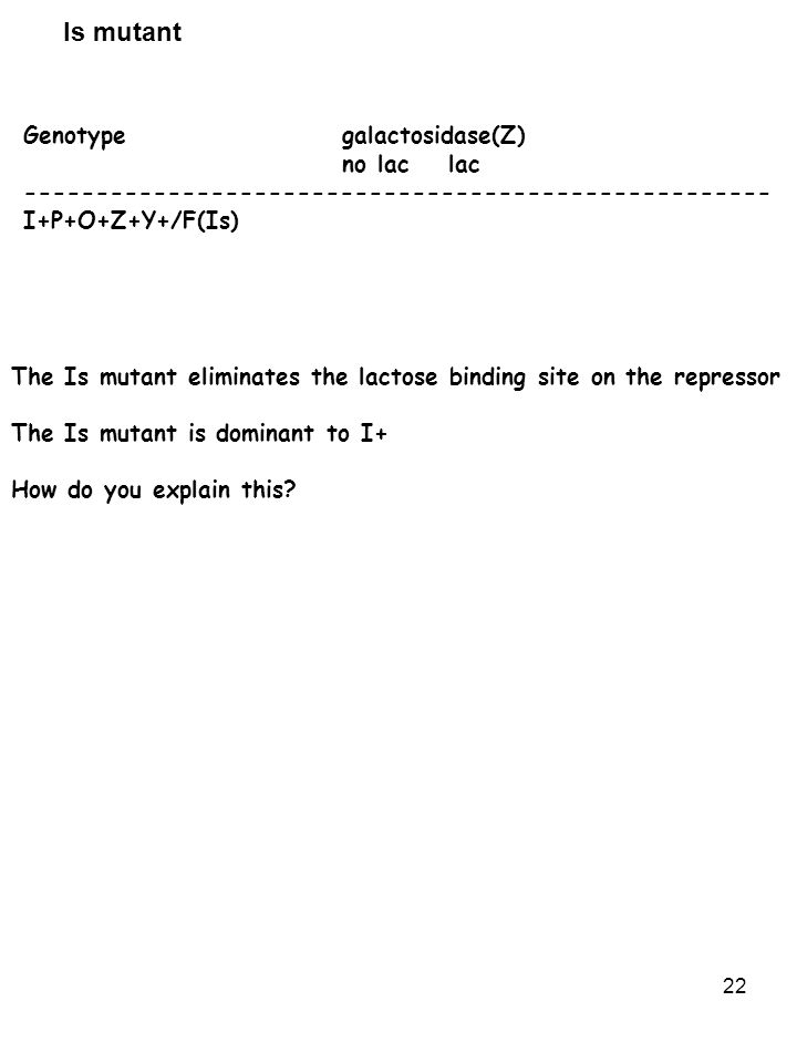 Lac Operon Ppt Video Online Download