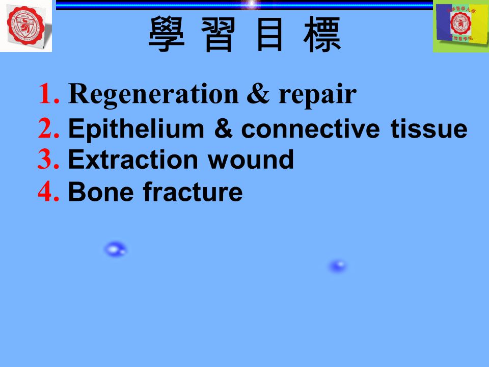 學 習 目 標 1. Regeneration & repair 2. Epithelium & connective tissue
