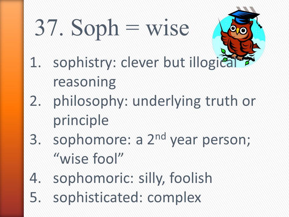 Sophomore Meaning Latin