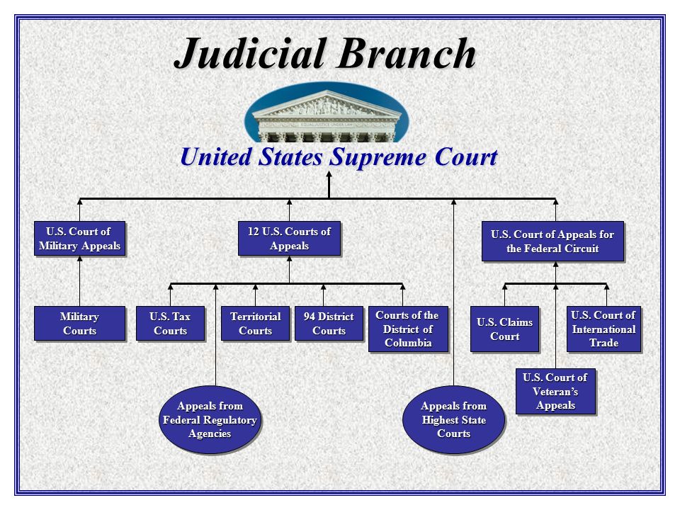 Judicial system. The Judiciary Branch in the USA. Judicial Branch. Judicial Branch of the USA. Judicial System of the USA.