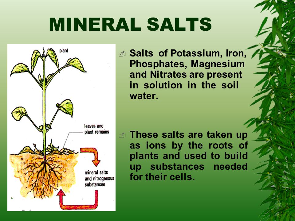 All About Soil Ppt Video Online Download
