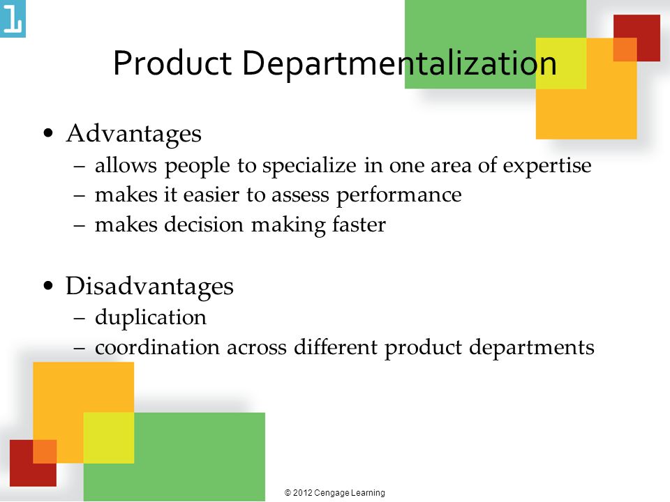 product departmentalization advantages and disadvantages