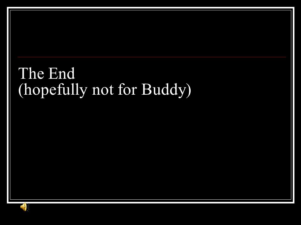The End (hopefully not for Buddy)