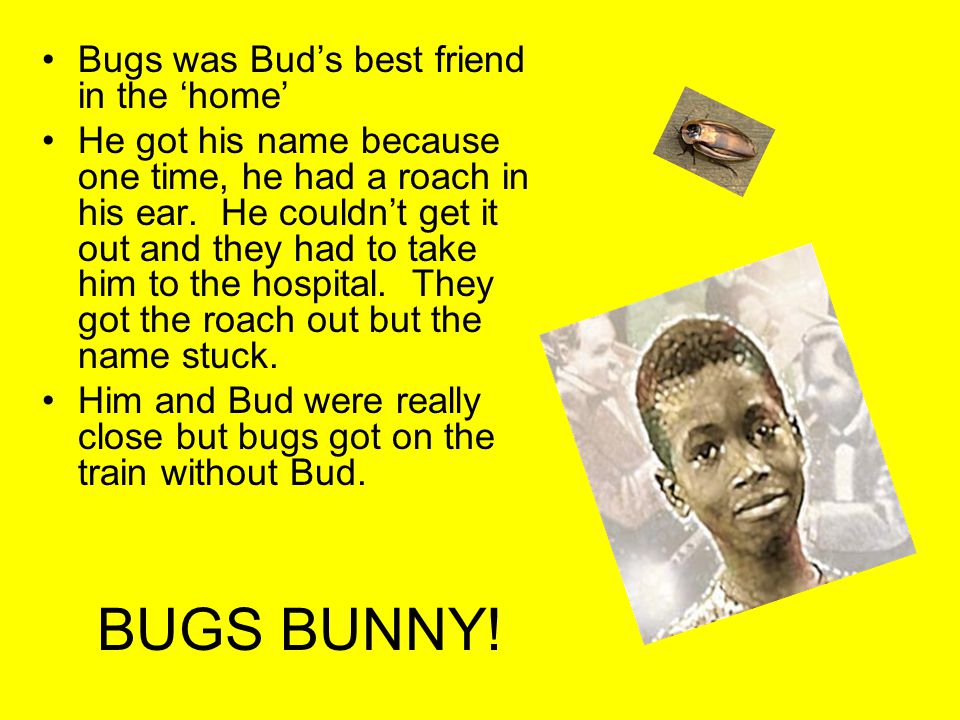 BUGS BUNNY! Bugs was Bud’s best friend in the ‘home’