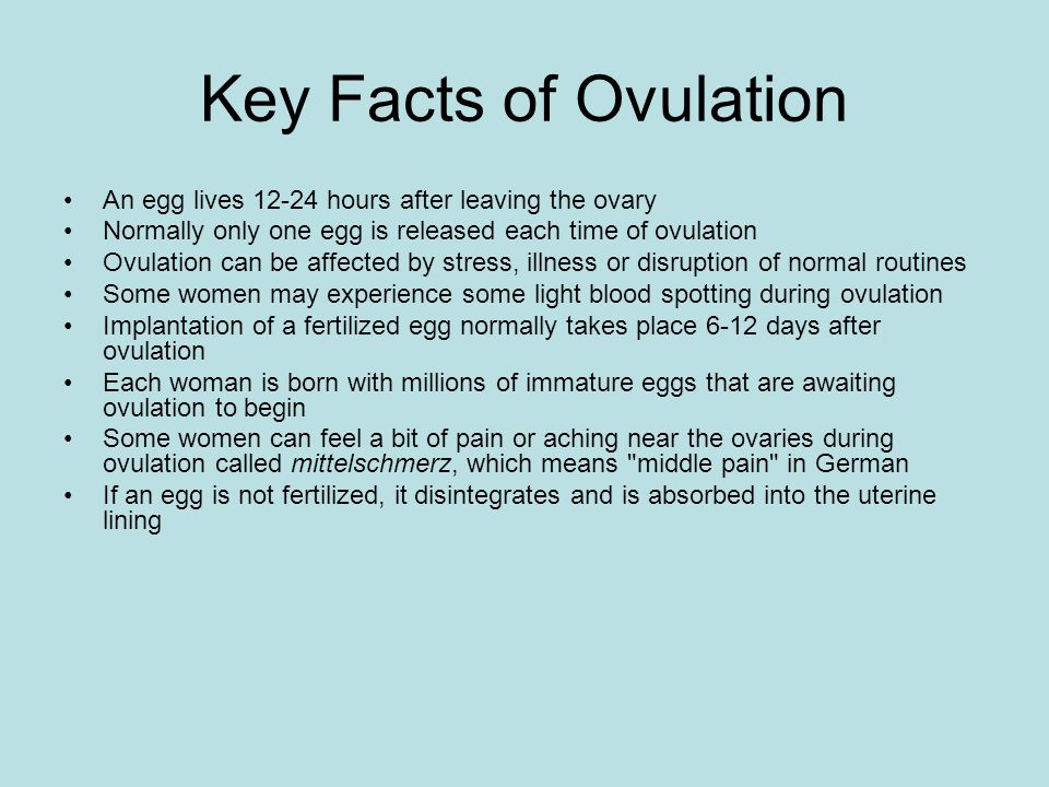 Understanding Ovulation Ppt Download