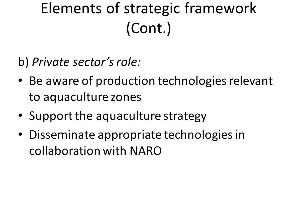 Elements of strategic framework (Cont.)