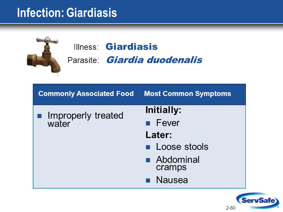 Giardia duodenalis servsafe