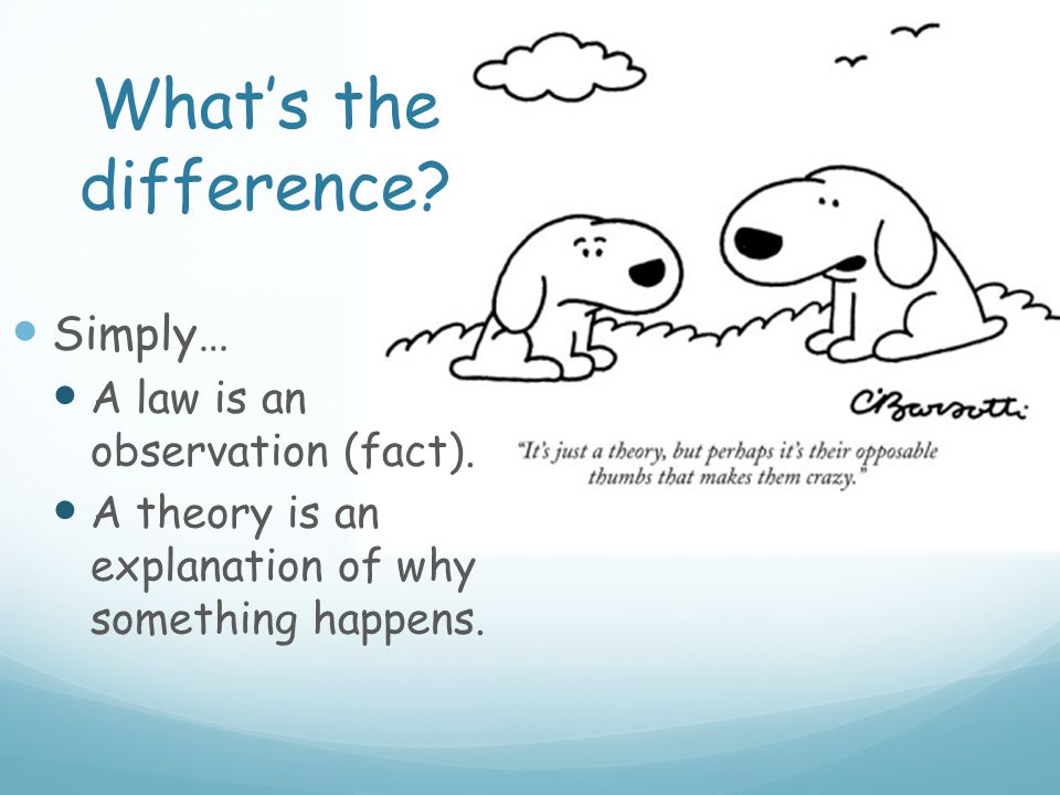 What’s the difference Simply… A law is an observation (fact).