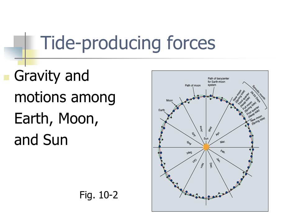 Chapter 10 Tides Fig Fig Ppt Download