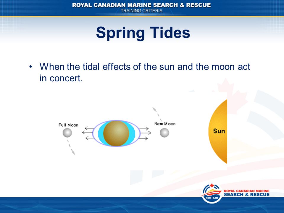 Spring Tides When the tidal effects of the sun and the moon act in concert.