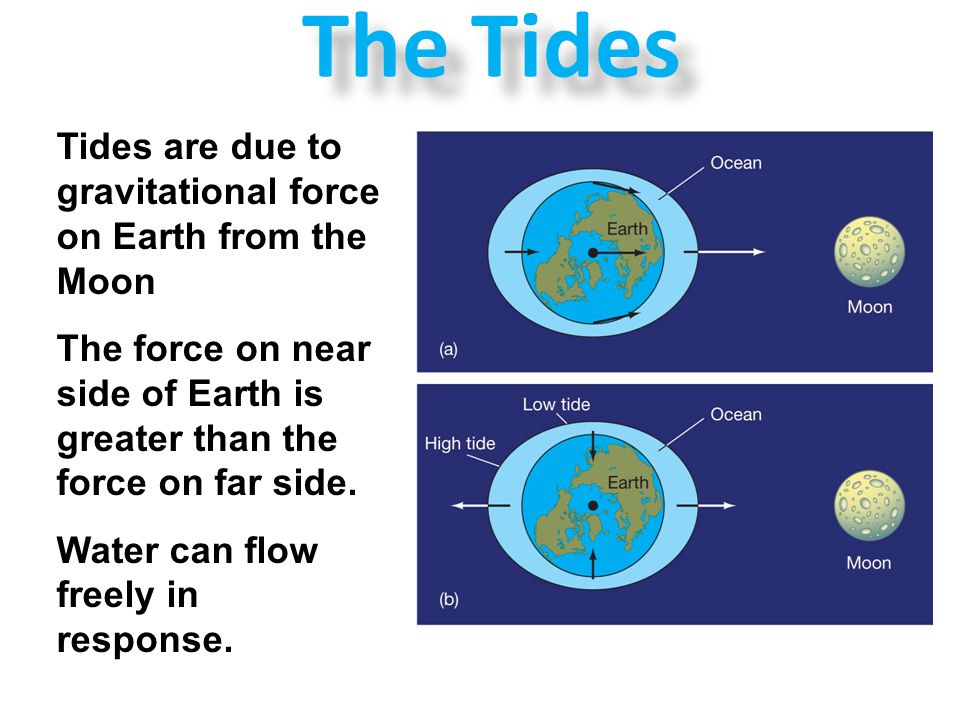 The Tides Tides are due to gravitational force on Earth from the Moon