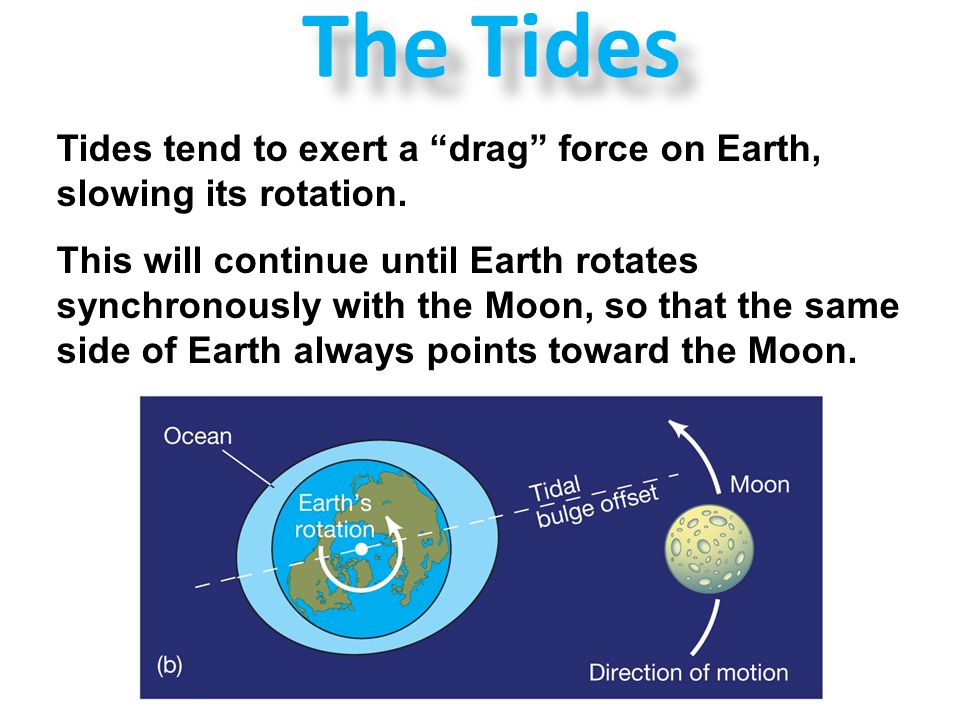The Tides Tides tend to exert a drag force on Earth, slowing its rotation.