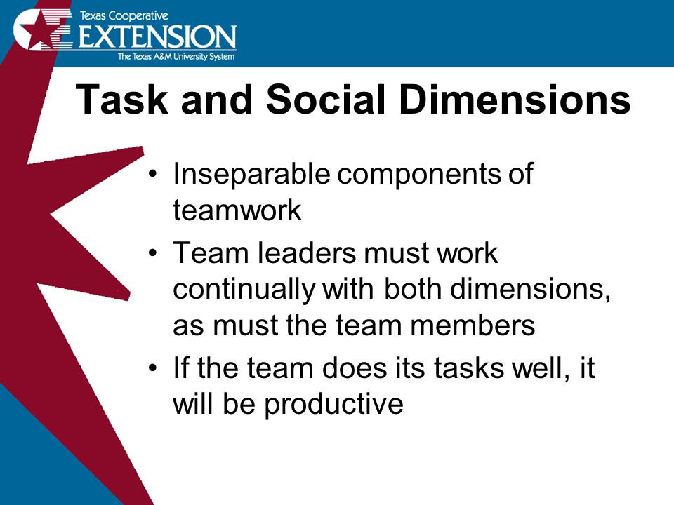 Task and Social Dimensions