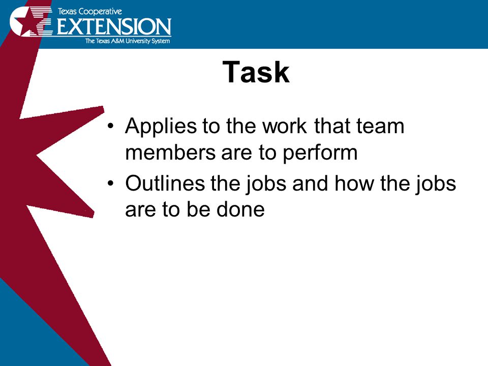 Task Applies to the work that team members are to perform