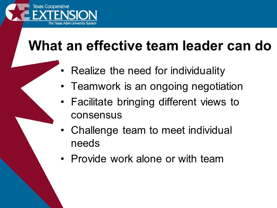What an effective team leader can do