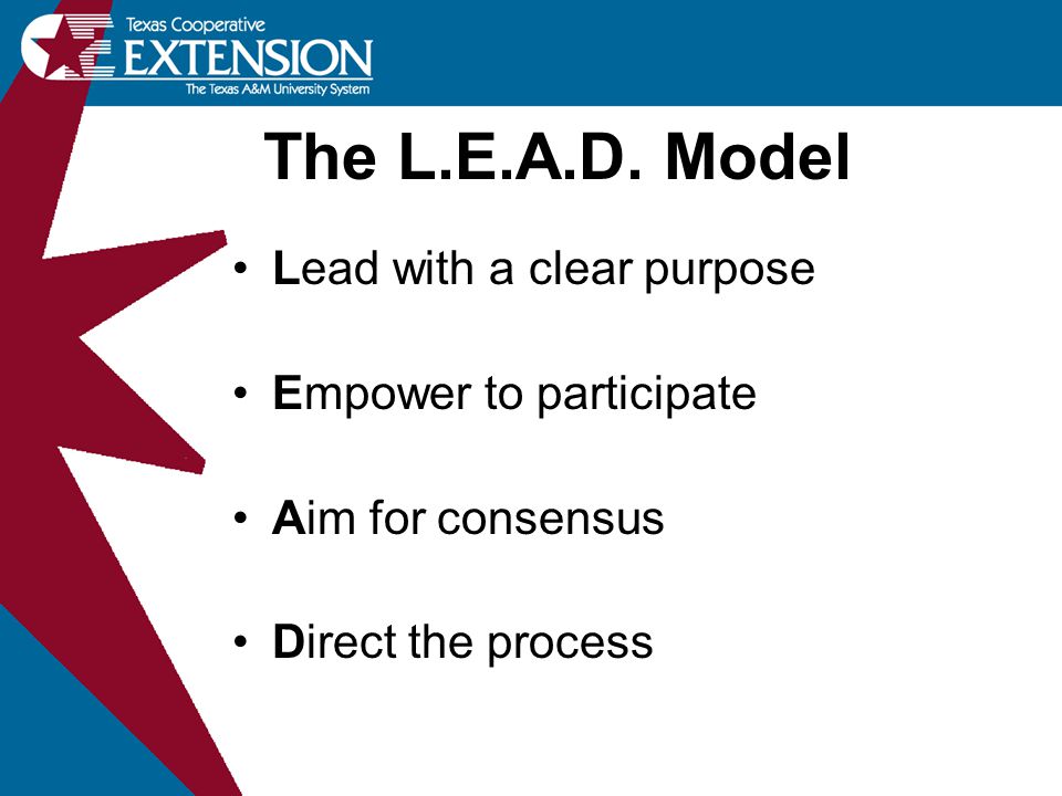 The L.E.A.D. Model Lead with a clear purpose Empower to participate