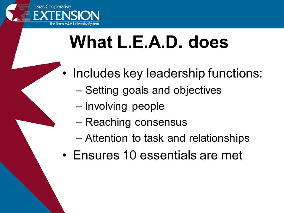 What L.E.A.D. does Includes key leadership functions: