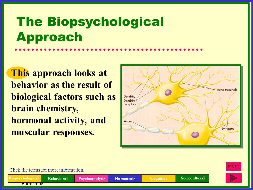 The Biopsychological Approach
