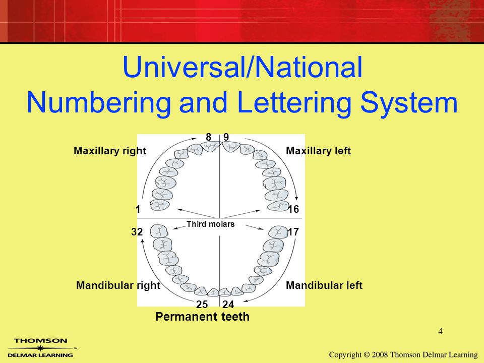 Dental Charting Systems