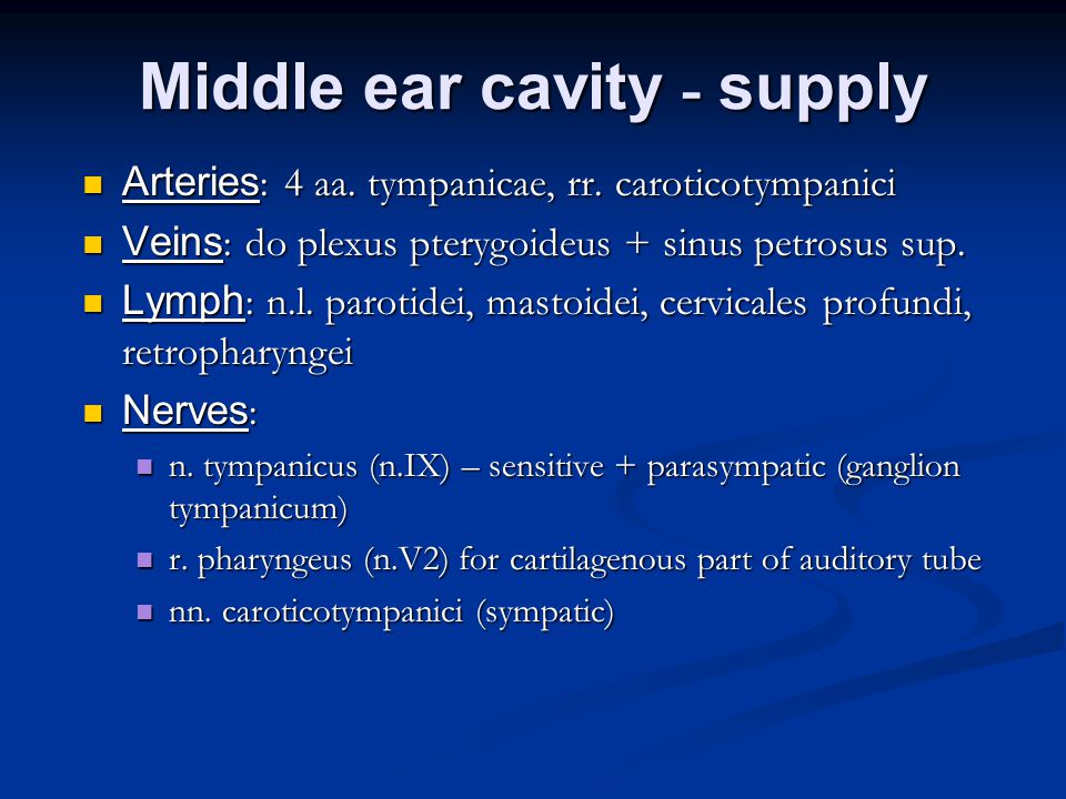 Middle ear cavity - supply