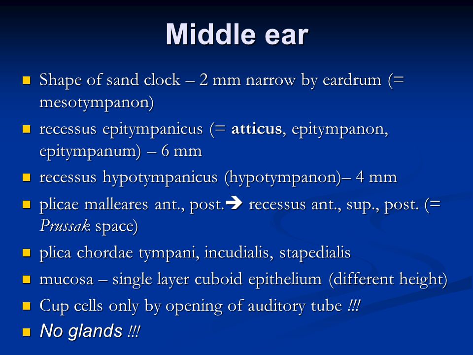 Middle ear Shape of sand clock – 2 mm narrow by eardrum (= mesotympanon) recessus epitympanicus (= atticus, epitympanon, epitympanum) – 6 mm.