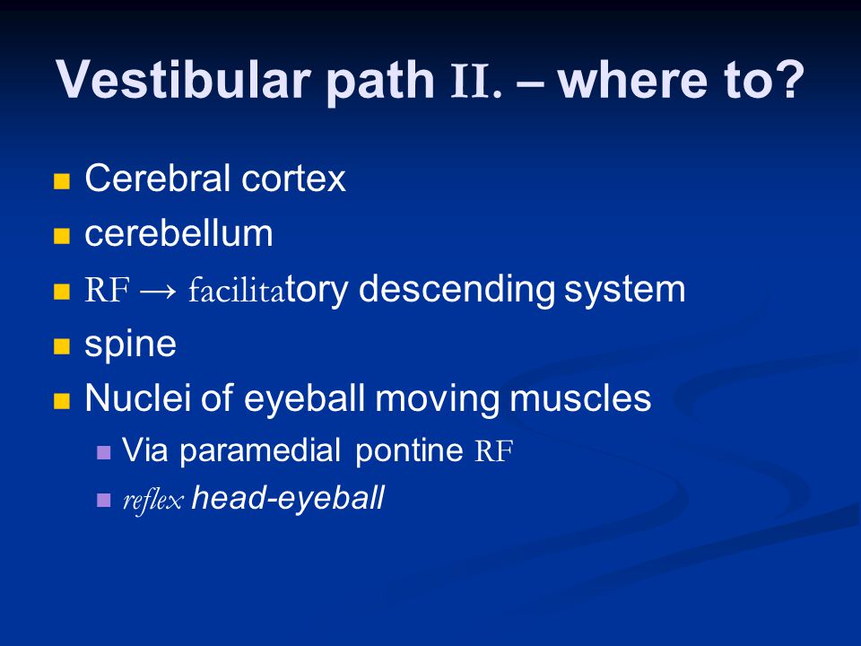 Vestibular path II. – where to