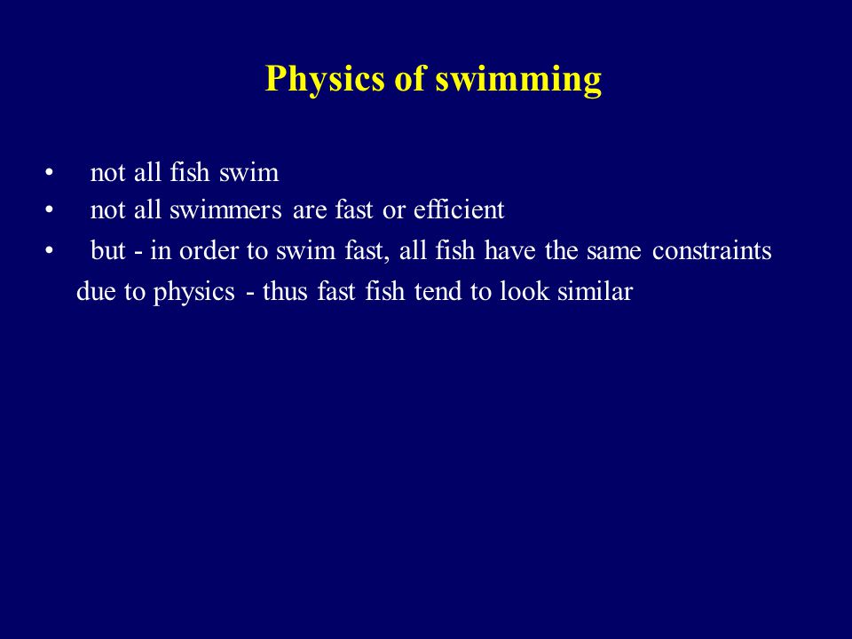 Behind swimming physics Wanna Swim