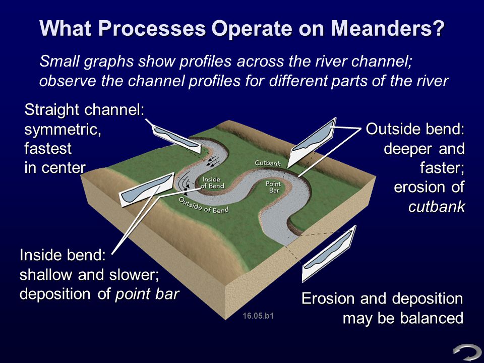 What Processes Operate on Meanders