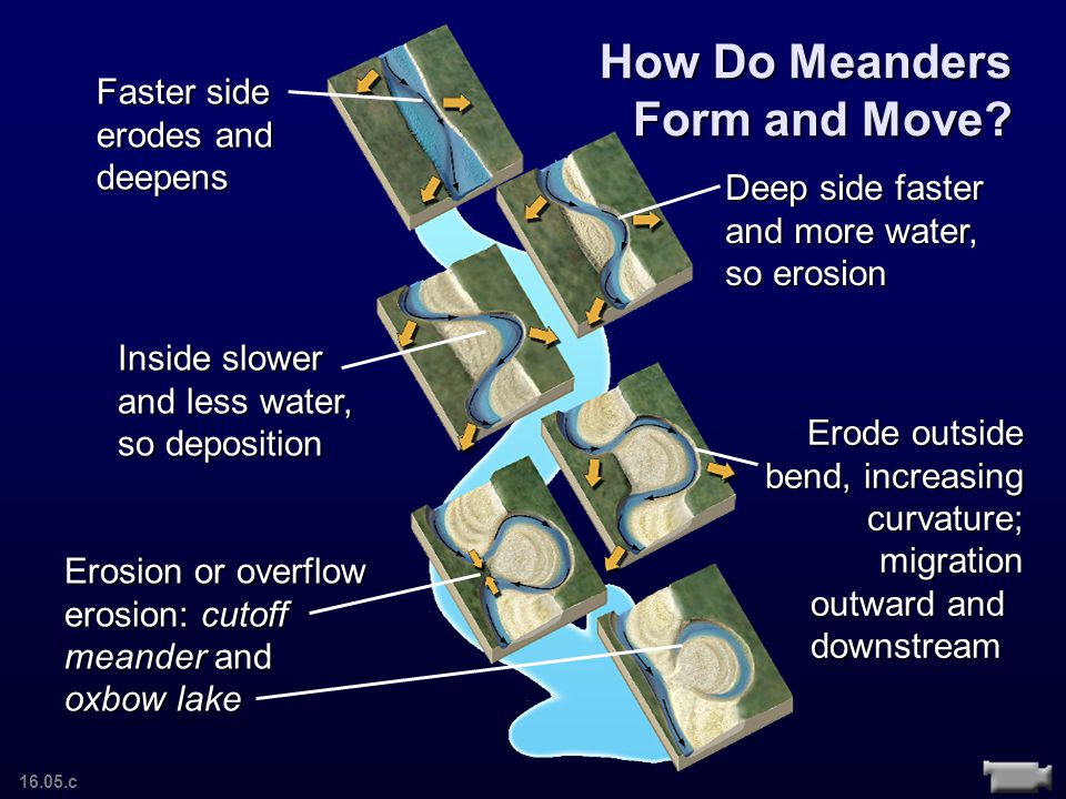 How Do Meanders Form and Move