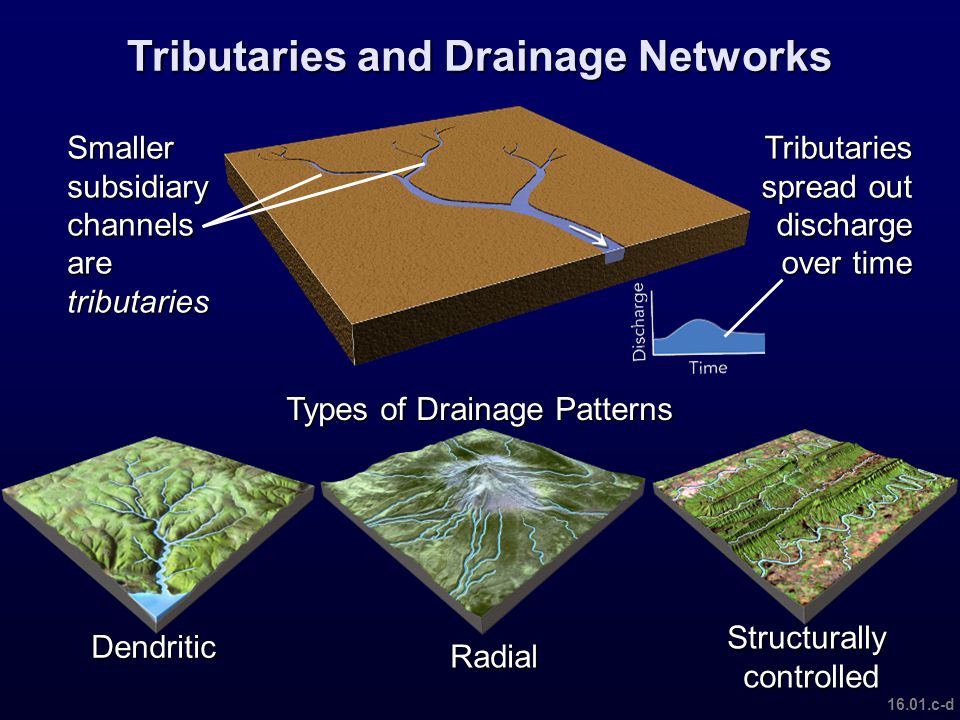 Tributaries and Drainage Networks