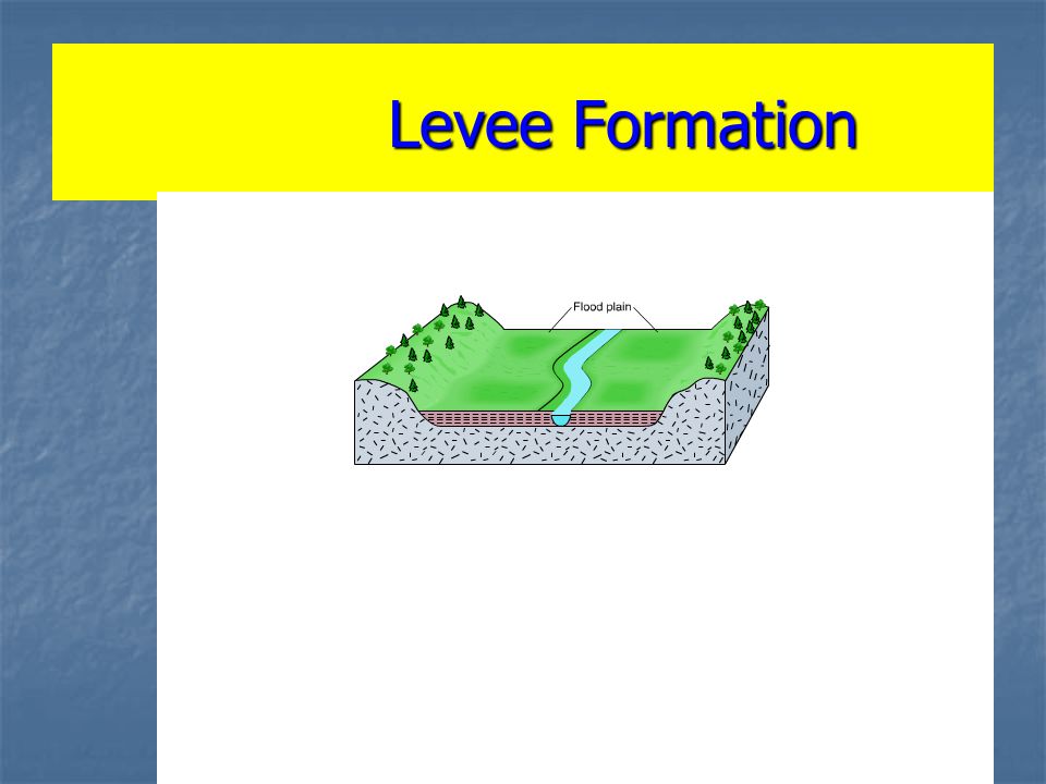Levee Formation