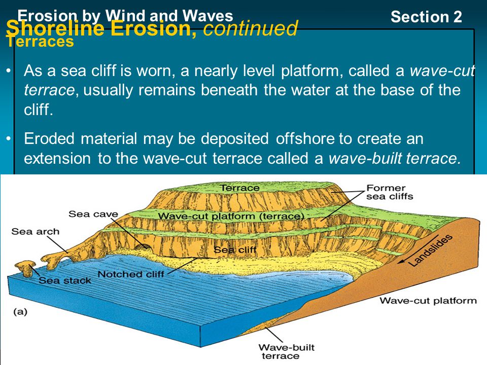 Section 2: Wave Erosion Preview Key Ideas Shoreline Erosion Beaches - ppt  video online download