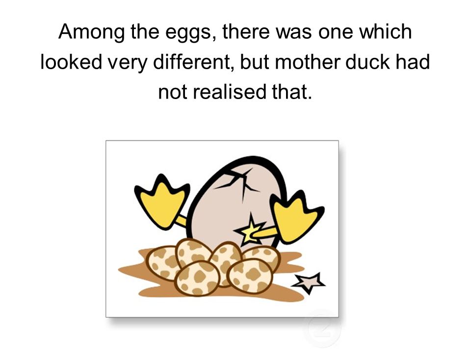 Among the eggs, there was one which looked very different, but mother duck had not realised that.