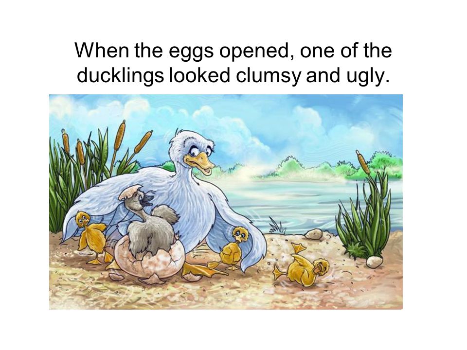 When the eggs opened, one of the ducklings looked clumsy and ugly.