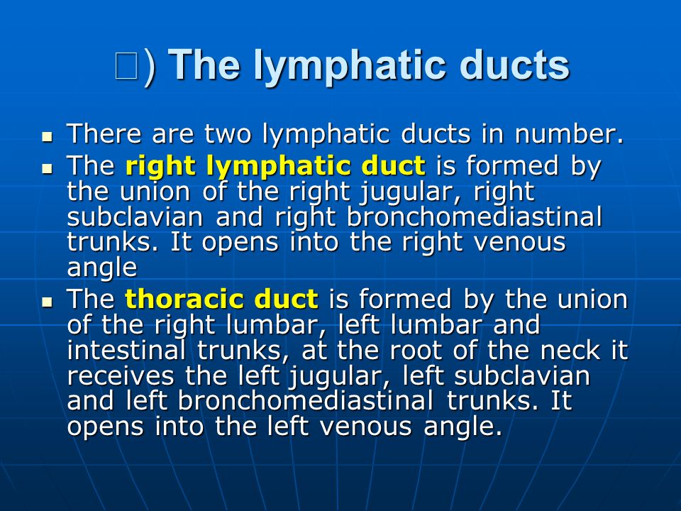 Ⅳ) The lymphatic ducts There are two lymphatic ducts in number.