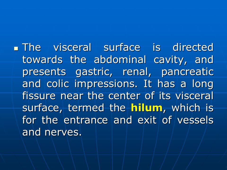 The visceral surface is directed towards the abdominal cavity, and presents gastric, renal, pancreatic and colic impressions.