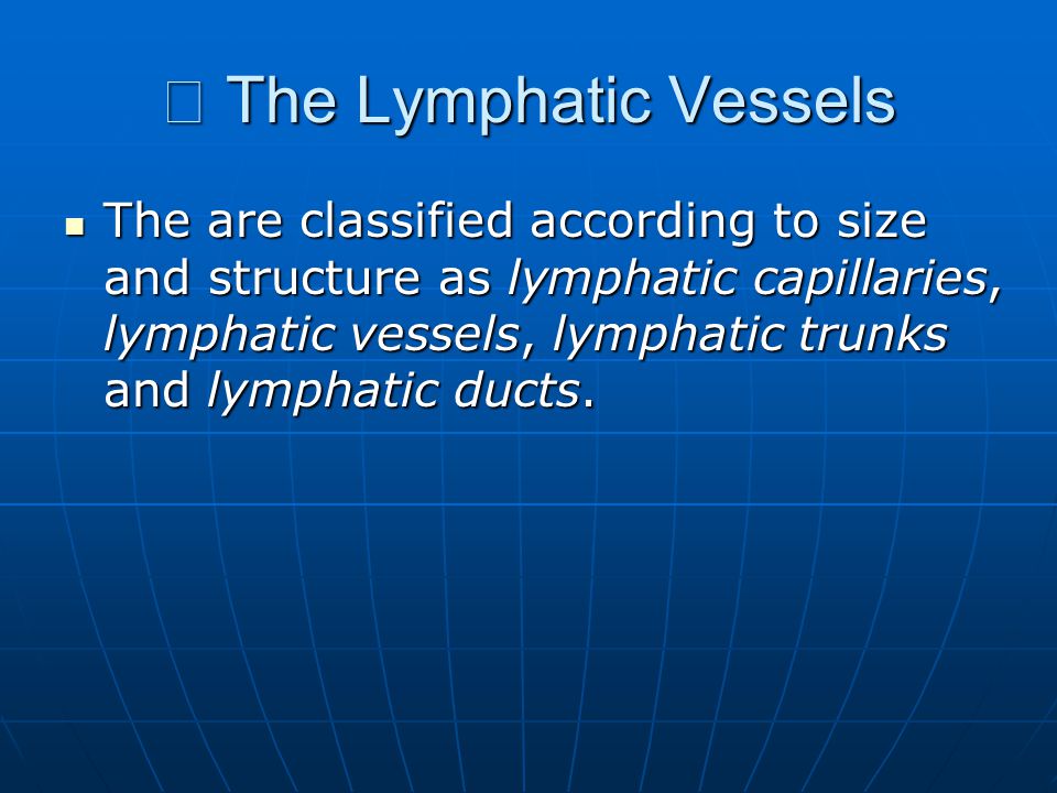 Ⅰ The Lymphatic Vessels