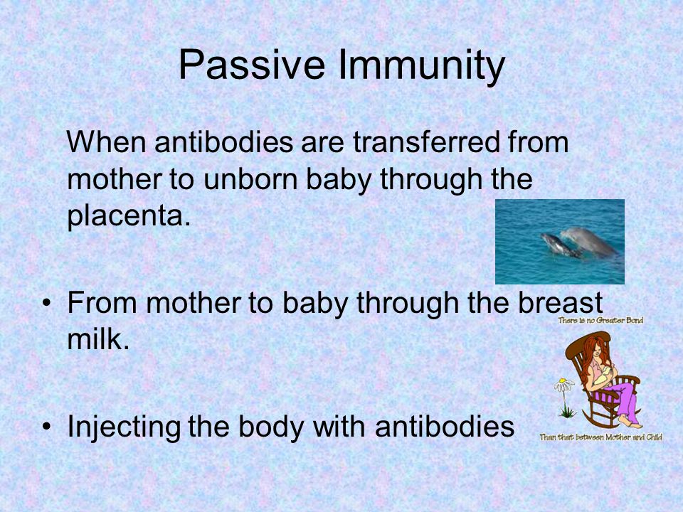 Passive Immunity When antibodies are transferred from mother to unborn baby through the placenta. From mother to baby through the breast milk.